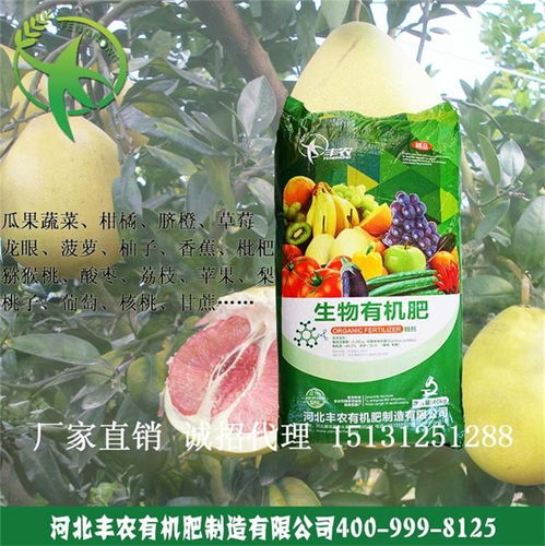 行唐县丰农有机肥 助力果蔬种植的绿色革命