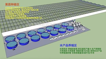【新型温室大棚鱼菜共生 工厂化循环种植蔬菜养殖水产品图片】新型温室大棚鱼菜共生 工厂化循环种植蔬菜养殖水产品